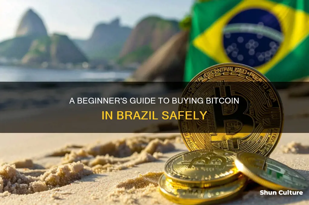 how to purchase bitcoin in brazil