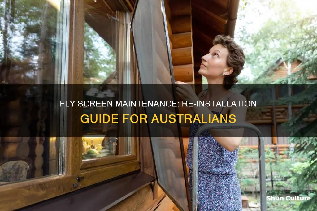 how to put a fly screen back in australia