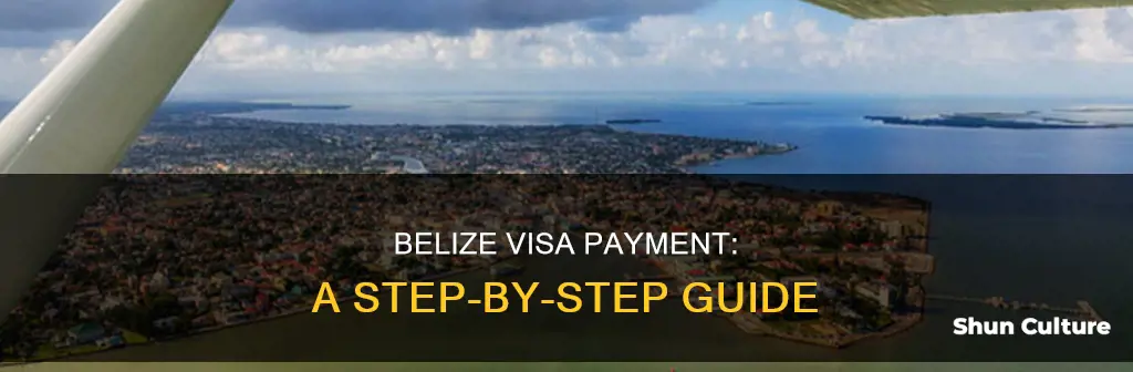 how to py for a belize visa