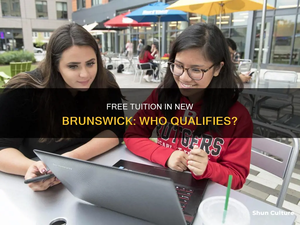 how to qualify for free tuition new brunswick