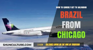 Quick Chicago to Salvador, Brazil Travel Guide: Flights & Tips