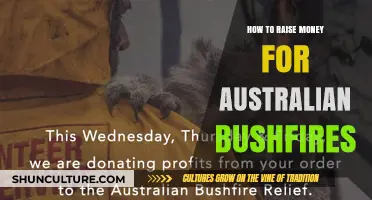 Aid Australia: Raise Money for Bushfire Relief