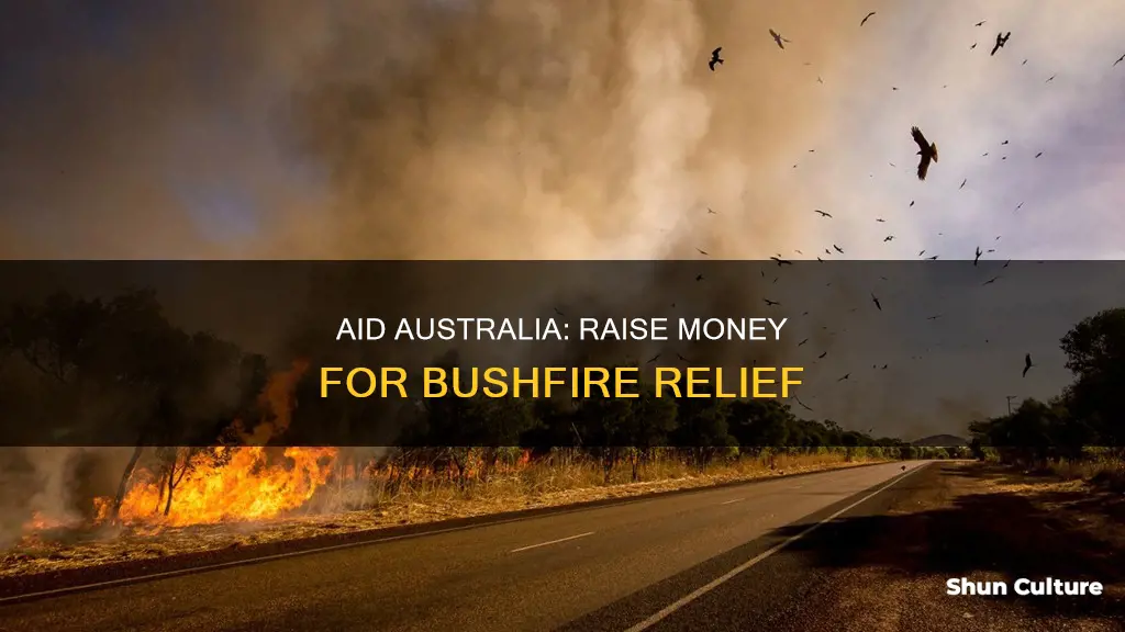 how to raise money for australian bushfires