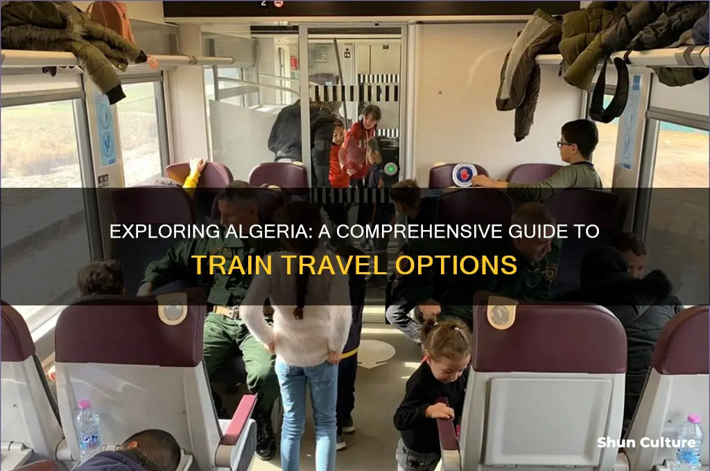 how to reach algeria by train