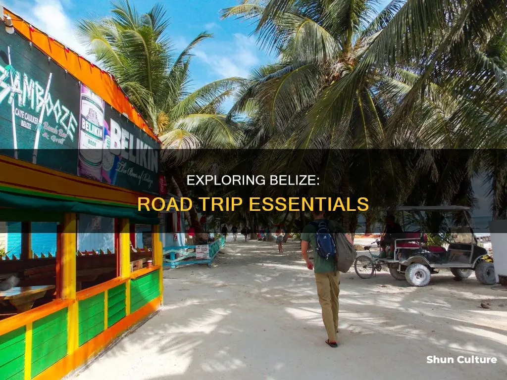 how to reach belize by road