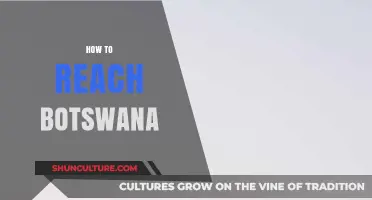 Exploring Botswana: Essential Travel Tips and Routes to Reach This Gem