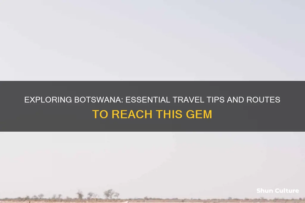 how to reach botswana