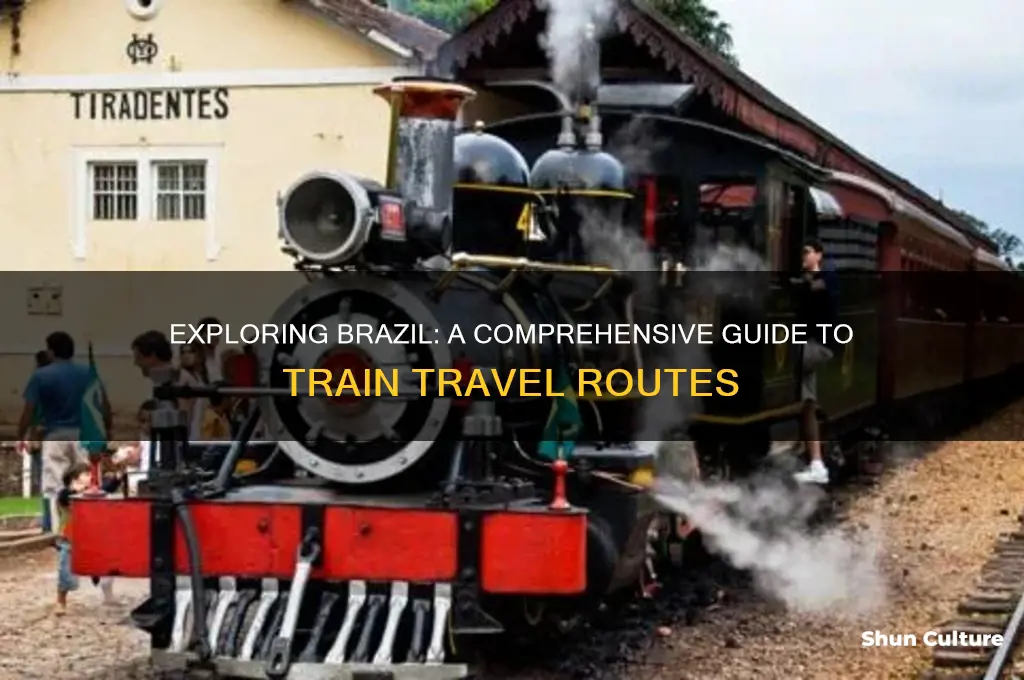 how to reach brazil by train
