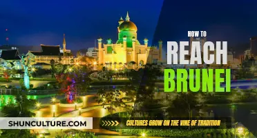 Exploring Travel Options to Reach the Serene Brunei