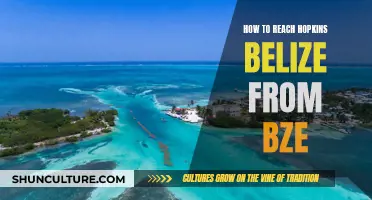 Travel Guide: Getting to Hopkins, Belize from BZE Airport