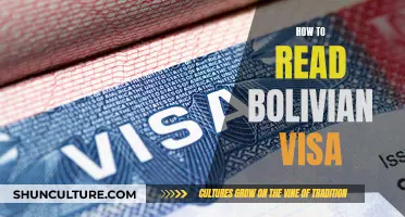 A Beginner's Guide to Understanding the Bolivian Visa Requirements