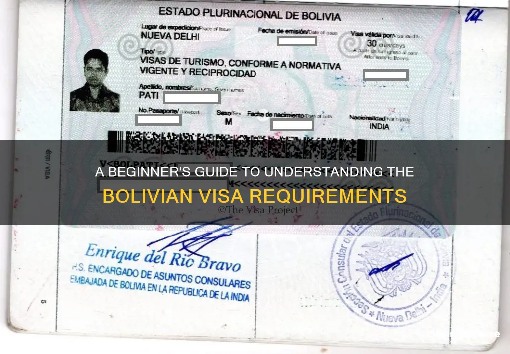 how to read bolivian visa