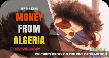 Efficient Ways to Receive Money from Algeria: A Comprehensive Guide
