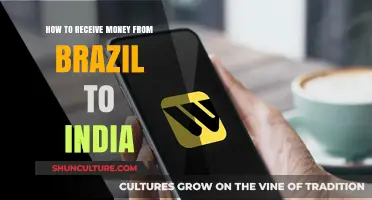 Transferring Funds from Brazil to India: A Comprehensive Guide