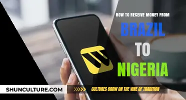 Securely Transferring Funds: Receiving Money from Brazil to Nigeria