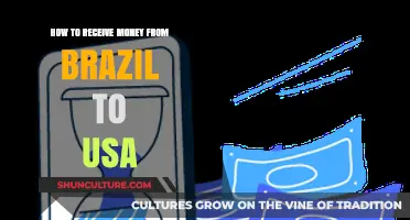 Transferring Funds from Brazil to the USA: A Comprehensive Guide