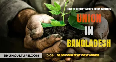 Receive Western Union Money in Bangladesh: A Step-by-Step Guide