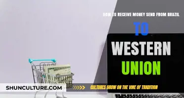 Receiving Money from Brazil via Western Union: A Step-by-Step Guide