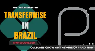 Receive Money in Brazil: A Step-by-Step TransferWise Guide