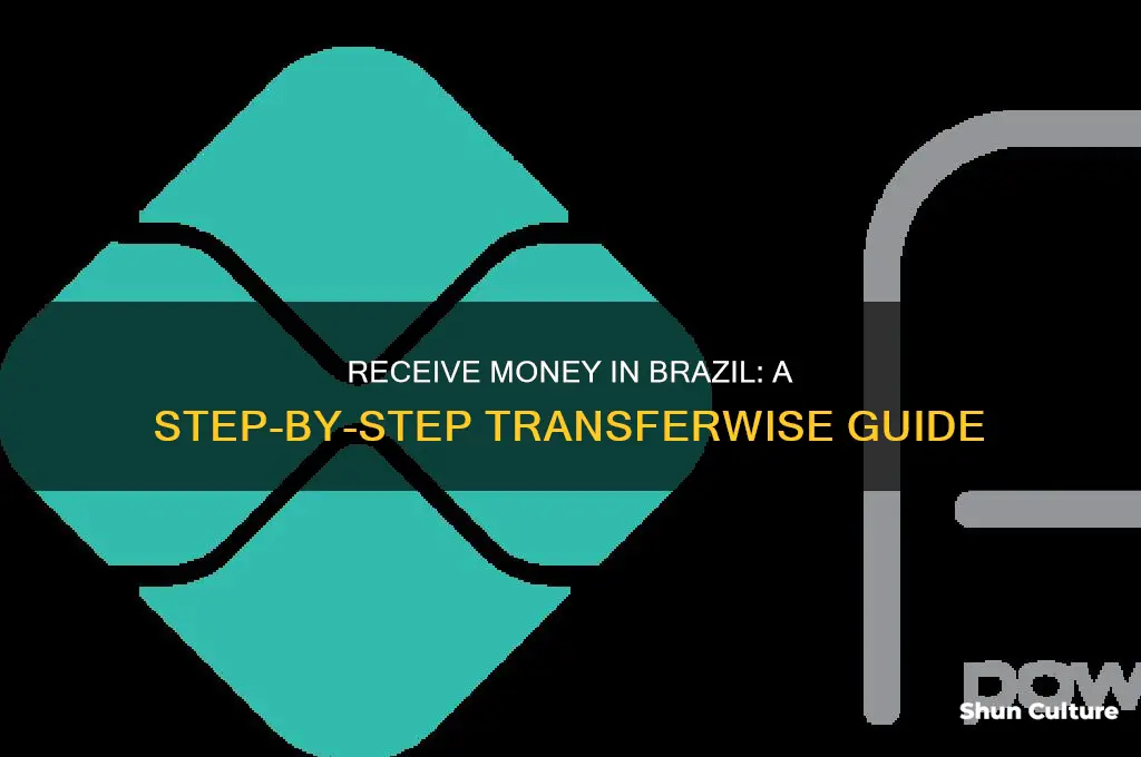 how to receive money via transferwise in brazil