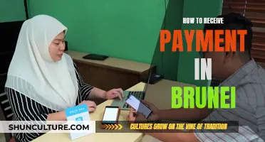 Receiving Payments in Brunei: A Guide for Beginners