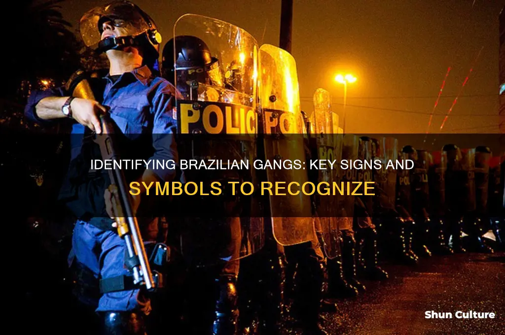 how to recognize gangs in brazil