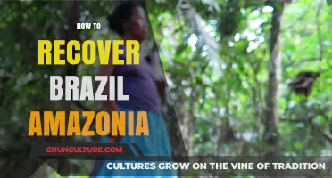 Reviving Brazil's Amazon: Strategies for Ecosystem Recovery and Conservation