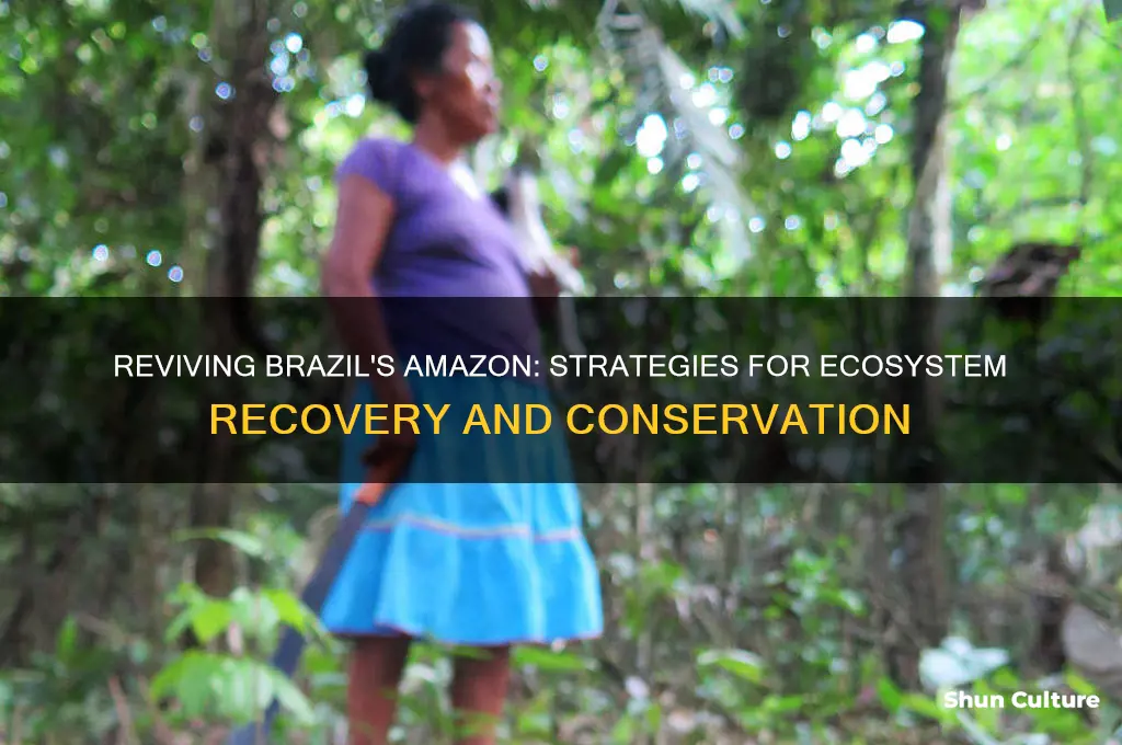 how to recover brazil amazonia