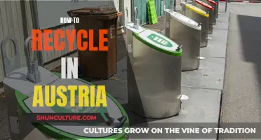 A Comprehensive Guide to Recycling in Austria: Tips and Tricks