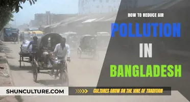Combating Bangladesh's Air Crisis: Practical Steps to Reduce Pollution