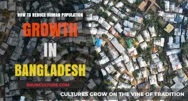Strategies to Curb Bangladesh's Rapid Population Growth Sustainably