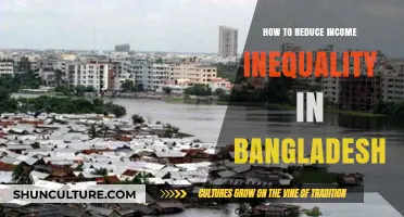 Bridging the Gap: Strategies to Reduce Income Inequality in Bangladesh