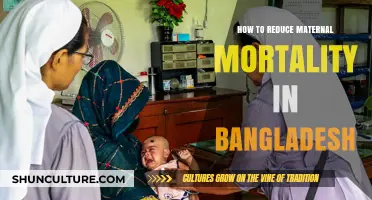 Strategies to Lower Maternal Deaths in Bangladesh: A Comprehensive Guide