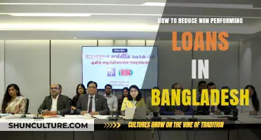 Strategies to Reduce Non-Performing Loans in Bangladesh's Banking Sector