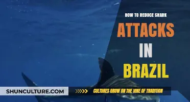 Minimizing Shark Encounters: Effective Strategies for Safer Brazilian Waters