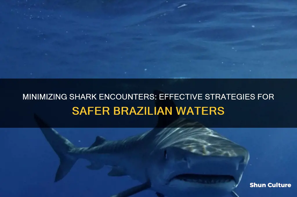 how to reduce shark attacks in brazil