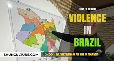 Strategies to Combat and Reduce Violence in Brazil Effectively