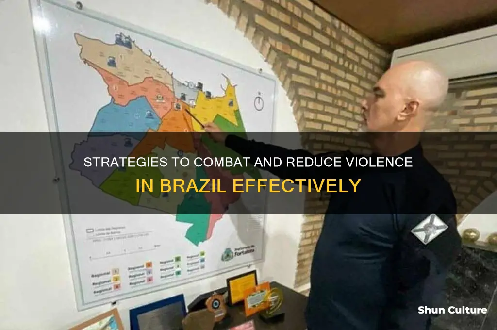 how to reduce violence in brazil