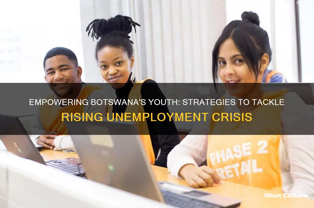how to reduce youth unemployment in botswana