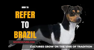 Understanding Brazil's Proper Nomenclature: A Guide to Accurate Referencing