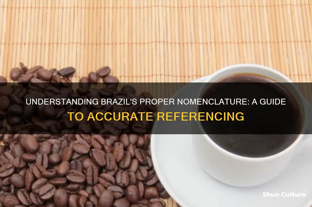how to refer to brazil