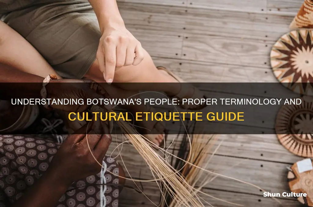 how to refer to people from botswana