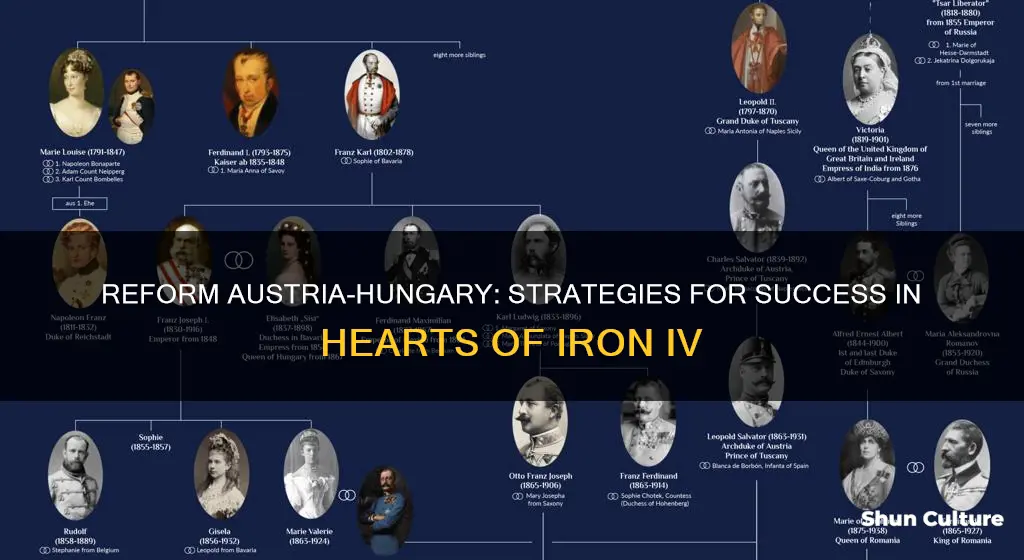 how to reform austria hungary hoi4