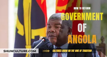 Transforming Angola: Strategies for Effective Governance