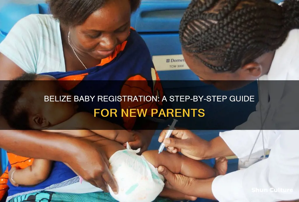 how to register a baby in belize