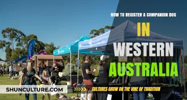 Registering Your Companion Dog in Western Australia: A Guide