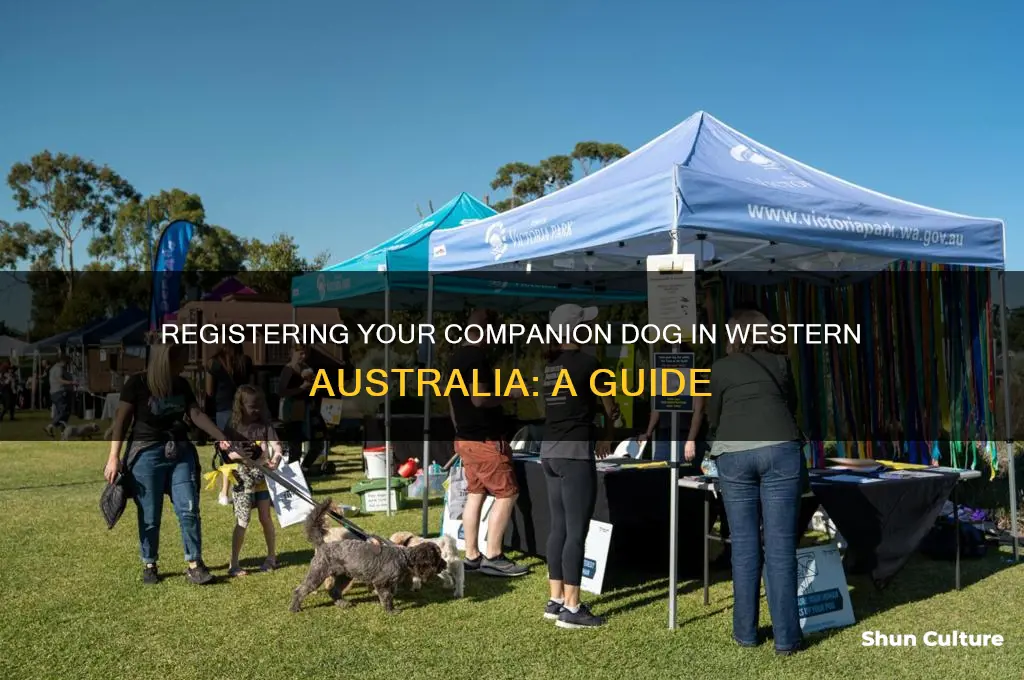 how to register a companion dog in western australia