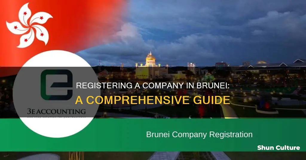 how to register a company in brunei