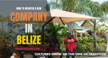 Belize Company Registration: A Step-by-Step Guide