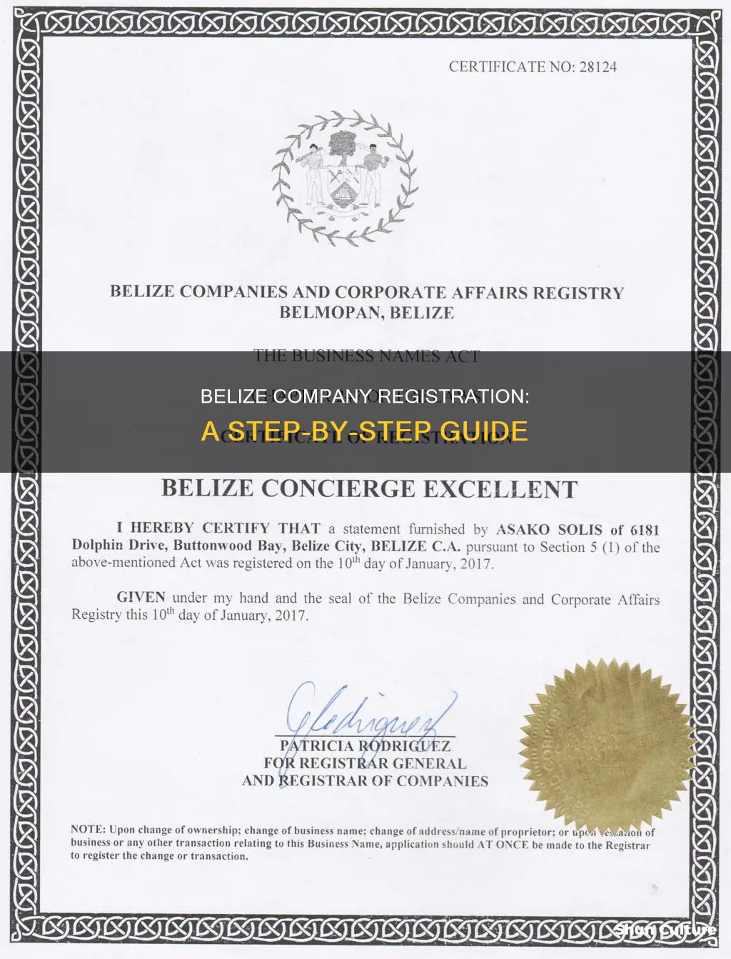 how to register a new company in belize